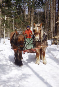 Firsthand Report: Homesteaders with Horses Image